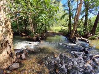 Animal Lovers Dream Lifestyle Business